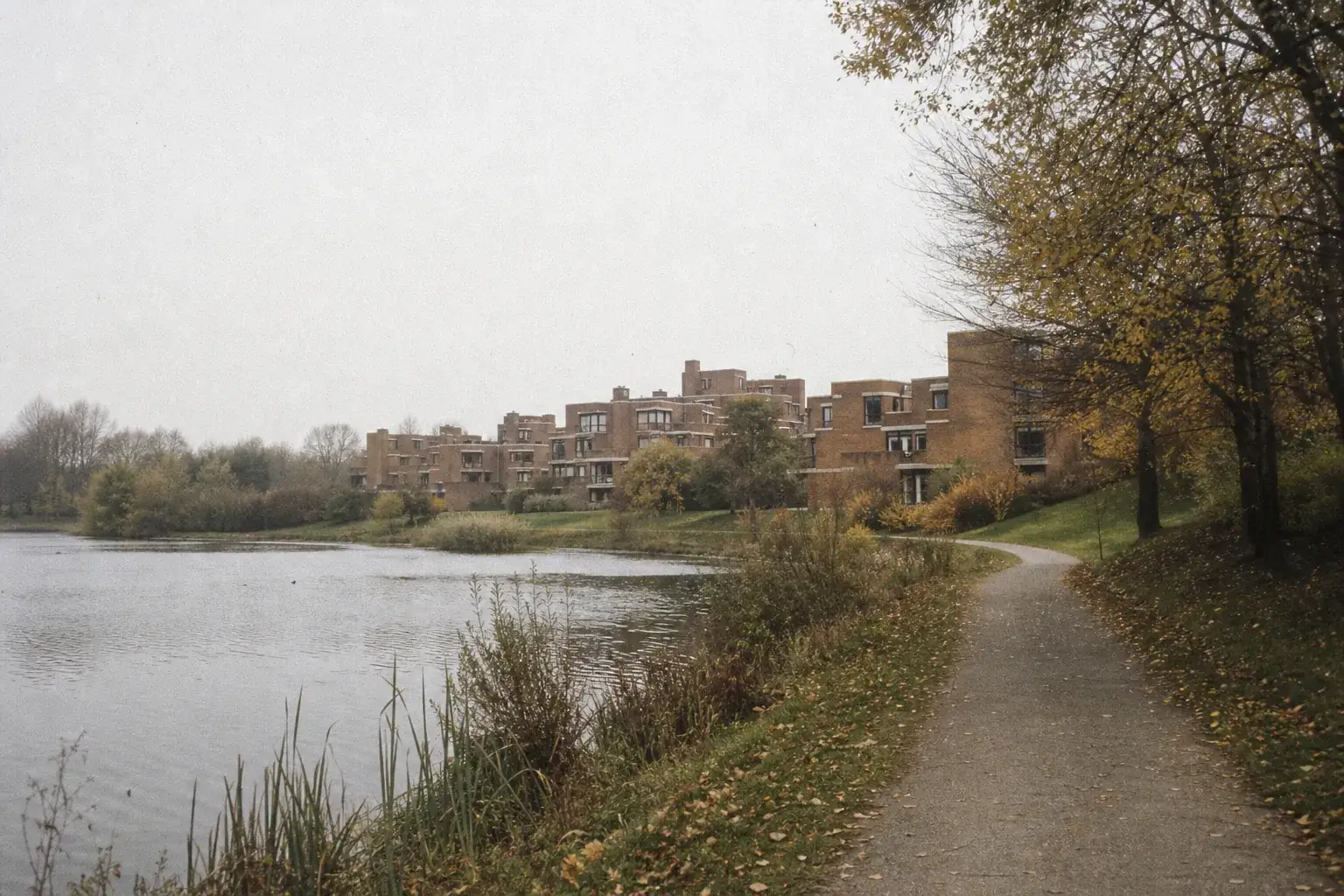 Le lac du Héron à Villeneuve-d’Ascq, quartier résidentiel en arrière-plan